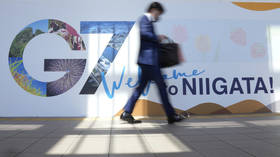 Russia not seeking to rejoin G7 – Putin