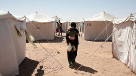 Children among 114 killed by drone strikes in war-torn Sudan – media