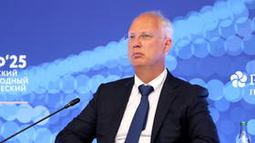 Ukraine and its Western backers trying ceasefire ‘trick’ – Putin envoy