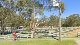 Pig heads left at Muslim cemetery in Sydney (PHOTO)