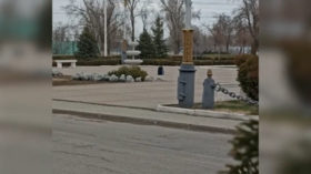 Teenage Russian girl detained in Ukrainian ‘terrorist plot’ – FSB