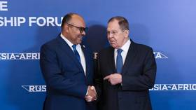 Lavrov touts Russia-Africa ties at Egypt conference