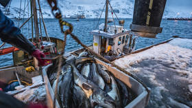 Russian seafood still sold in EU despite fishy sanctions – Euractiv