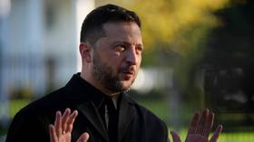 Zelensky reveals Kiev’s 20-point peace plan draft