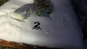 Ukrainian ‘terrorist’ shot dead in Russia – FSB