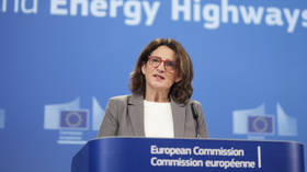 EU should listen to Trump but never bow to his demands – European Commission vice-president