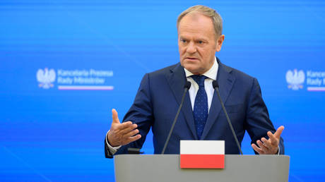 US threats over Greenland make NATO pointless – member-state PM