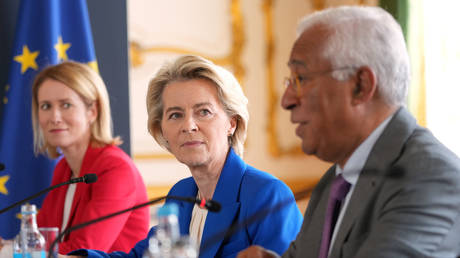 Brussels declares ‘full solidarity’ with Denmark