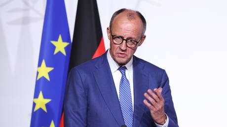 Merz criticizes Germans for getting sick too often