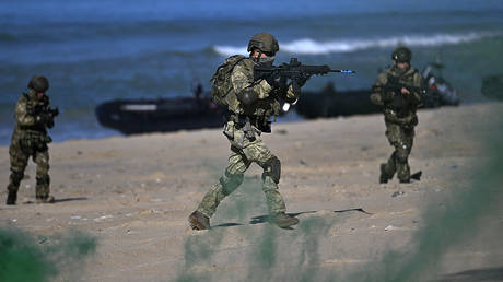 France calls for NATO drills in Greenland amid Trump takeover threats – media