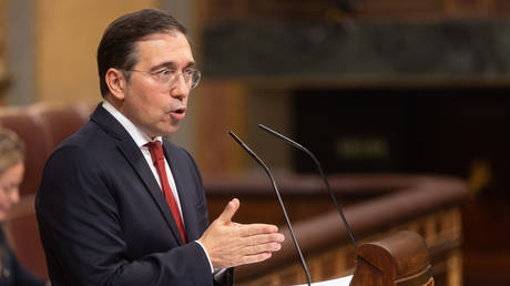 EU needs another ‘coalition of the willing’ to defend itself – Spanish FM