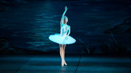 Ukrainian ballerina Natalia Matsak performing Tchaikovsky's 'Swan Lake' on November 26, 2014 in Geneva, Switzerland.