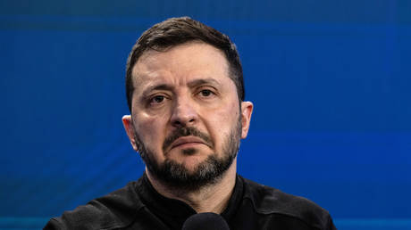 &lsquo;Clown&rsquo; Zelensky &lsquo;losing the plot&rsquo;: Reactions to his Davos tirade