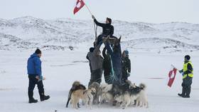 Greenland’s defenses are ‘two dog sleds’ – Trump