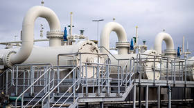 German gas reserves at ‘historic low’ – industry experts