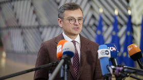 EU membership could sweeten losses for Kiev – ex-foreign minister