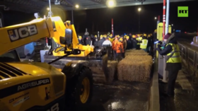 French farmers block ports over controversial EU trade deal (VIDEO)