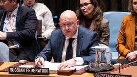 Zelensky ‘nullifying’ Trump’s peace efforts – Moscow