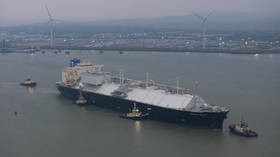 EU walking into ‘high-risk dependency’ on US energy – think tank