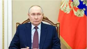 Denmark always treated Greenland ‘like a colony’ – Putin