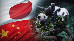Last pandas in Japan leave for China as relations sour