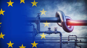 EU moves to cut off Russian gas – Who will pay the price?