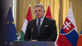 EU member to sue bloc over ‘suicidal’ ban on Russian gas