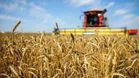 Russia is reliable partner on global food market – cabinet minister