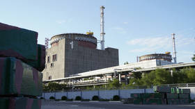 Zelensky’s rhetoric suggests Kiev plans to attack nuclear plant – Kremlin