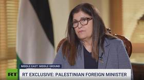 India could be mediator in Israel-Palestine conflict – FM