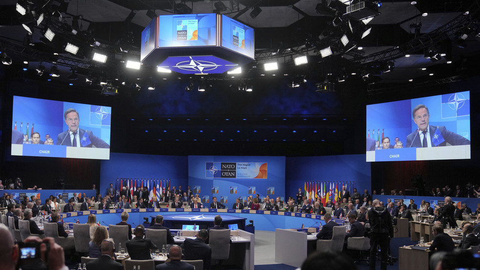 Key NATO nations balk at making sacrifices for military spending – poll