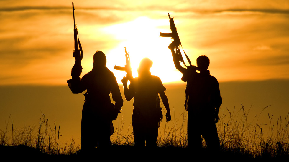 Dozens dead after armed raids in Nigeria