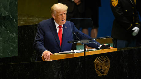 Trump claims he could &lsquo;easily&rsquo; solve UN money problems