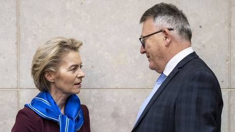 Von der Leyen&rsquo;s rule &lsquo;not good&rsquo; for EU &ndash; ex-commissioner