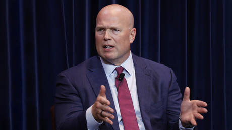 NATO allies expected to ‘do more’– US envoy