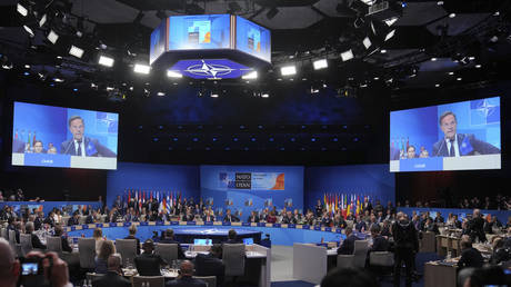 Key NATO nations balk at making sacrifices for military spending – poll