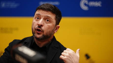 Zelensky claims West could be using elections to oust him