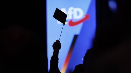 German court blocks move to brand AfD ‘extremist’