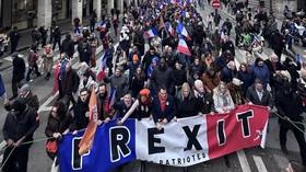 French protesters tear EU flag at ‘Frexit’ rally (VIDEO)
