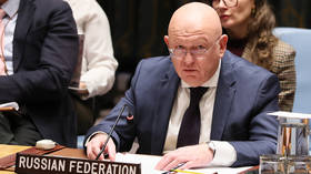 Kiev regime supplying terrorists in Africa – Russia’s UN envoy