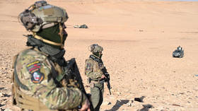 Thousands of Islamic State detainees transferred from Syria to Iraq – media