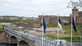 Russia not planning to attack NATO – Estonian intelligence