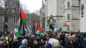 UK Palestine Action ban unlawful – court