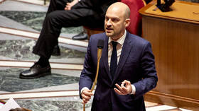 French FM under fire over ‘false’ claims about UN rapporteur