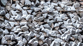 EU country runs out of firewood amid freeze – media