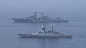 BRICS needs strategic maritime cooperation – Putin aide