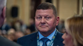 Zelensky used raid to threaten me – Ukraine’s ex-army chief