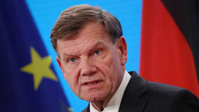 EU talk on further seizure of Russian assets ‘is closed’ – German FM