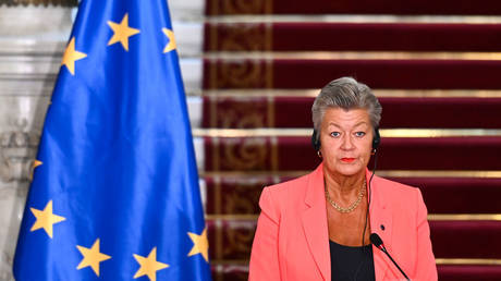 EU unlikely to extend temporary protection for Ukrainians – envoy