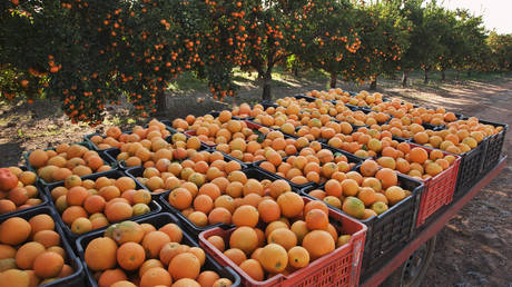 Middle East tension threatens South African exports &ndash; trade organization